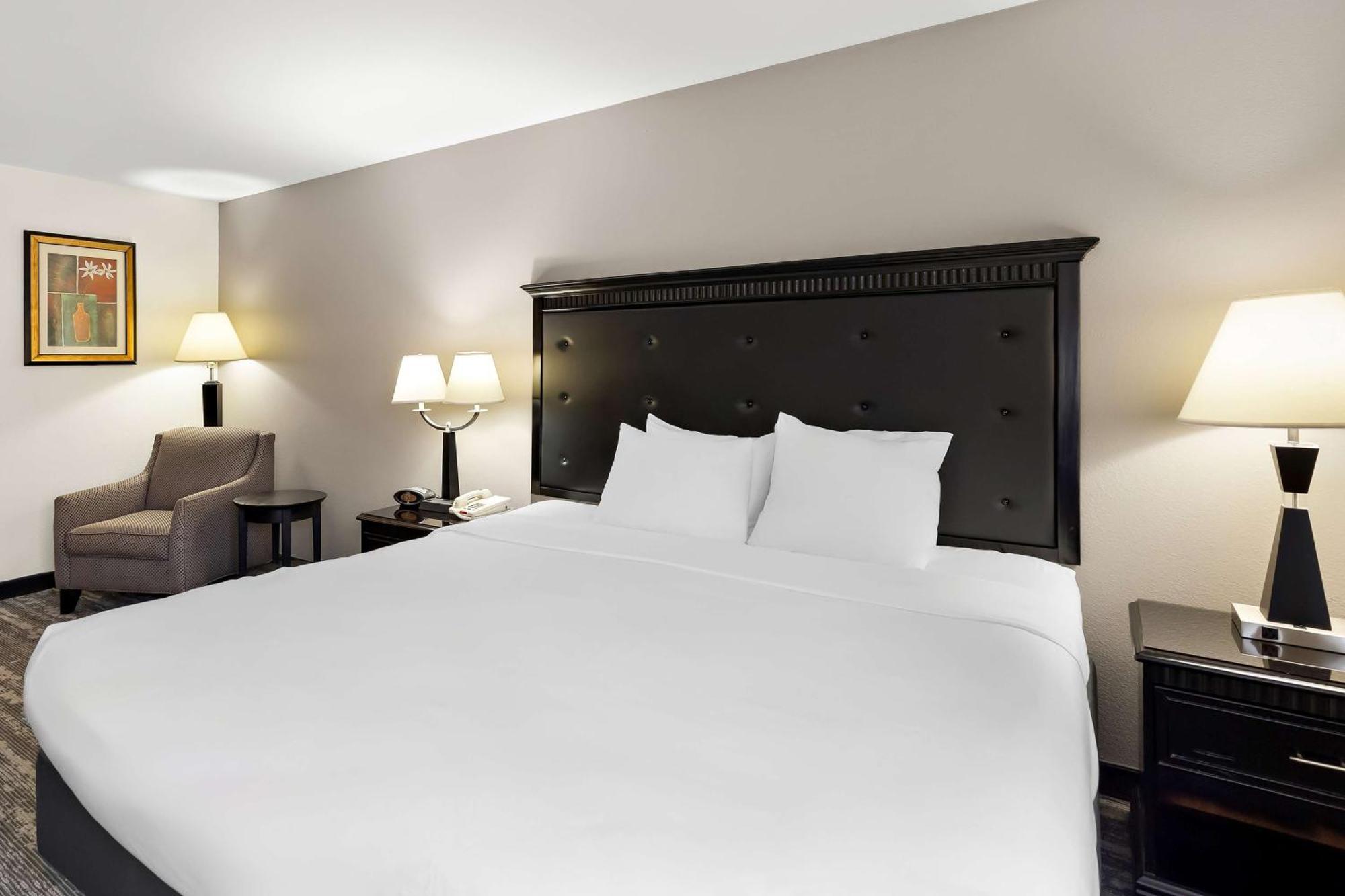 Best Western Saluki Inn Carbondale Buitenkant foto